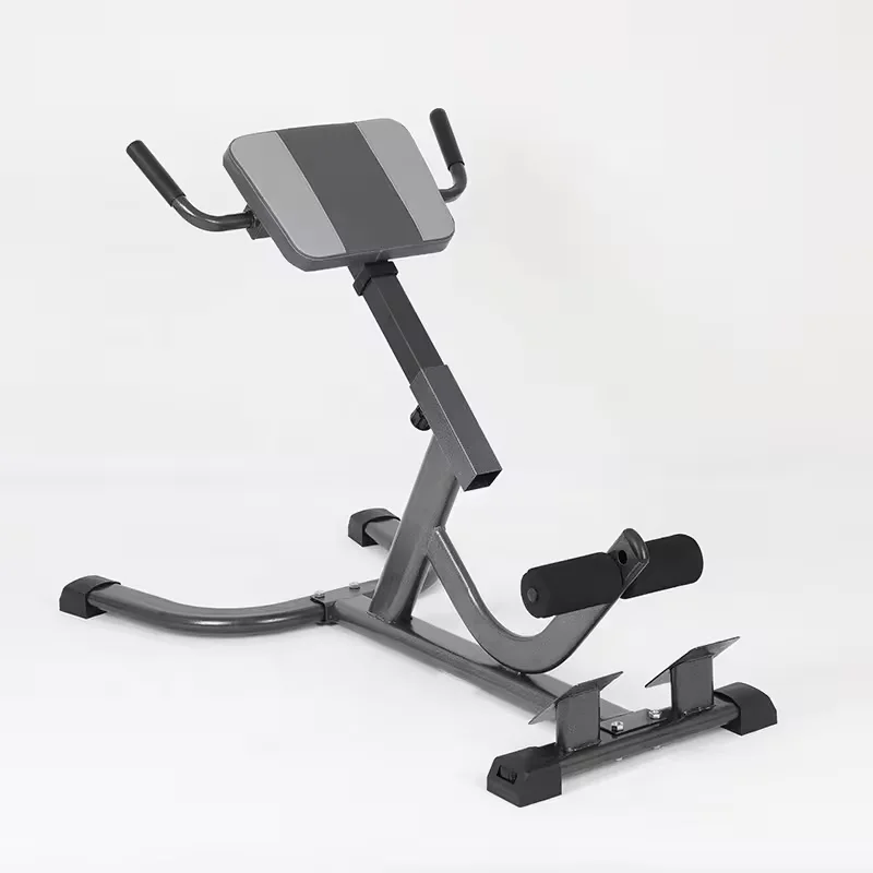 Home Gym Hamstring Exercises - Silla Romana de Acero 2026 Ajustable