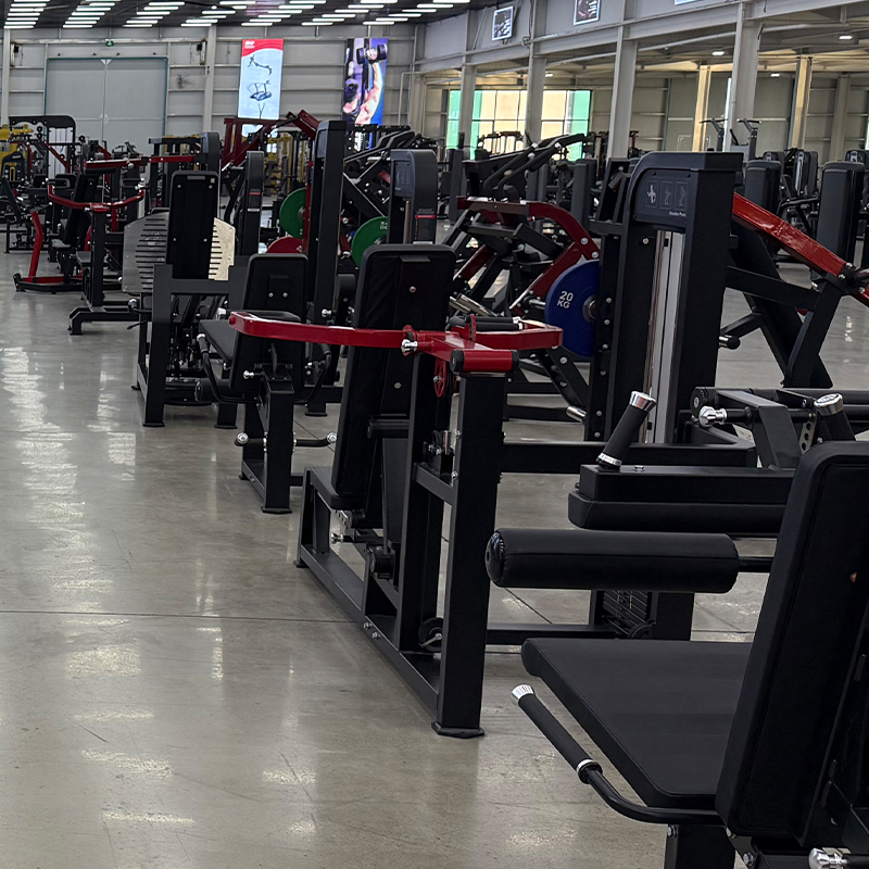 Equipo de Entrenamiento de Fue - Home Gym Workout reseña y precio