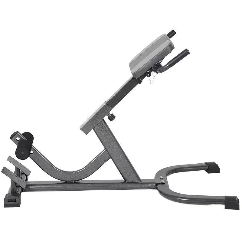 Silla Romana de Acero 2026 Aju - Home Gym Hamstring Exercises reseña y precio
