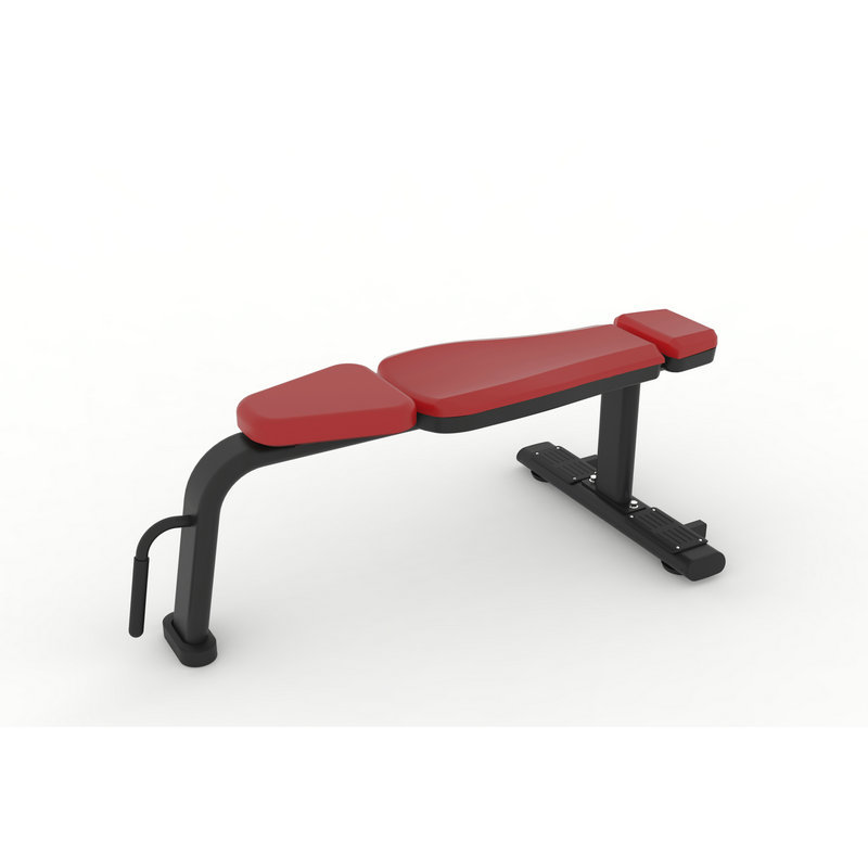 Entrenador de banco de Fitness - Home Gym Dumbbells reseña y precio