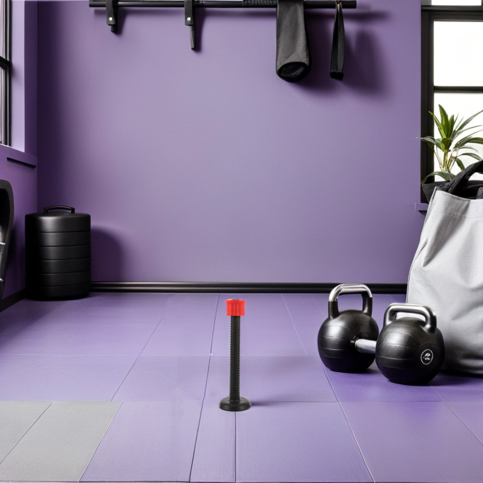 Barras de soporte de plástico  - Home Gym Dumbbells reseña y precio