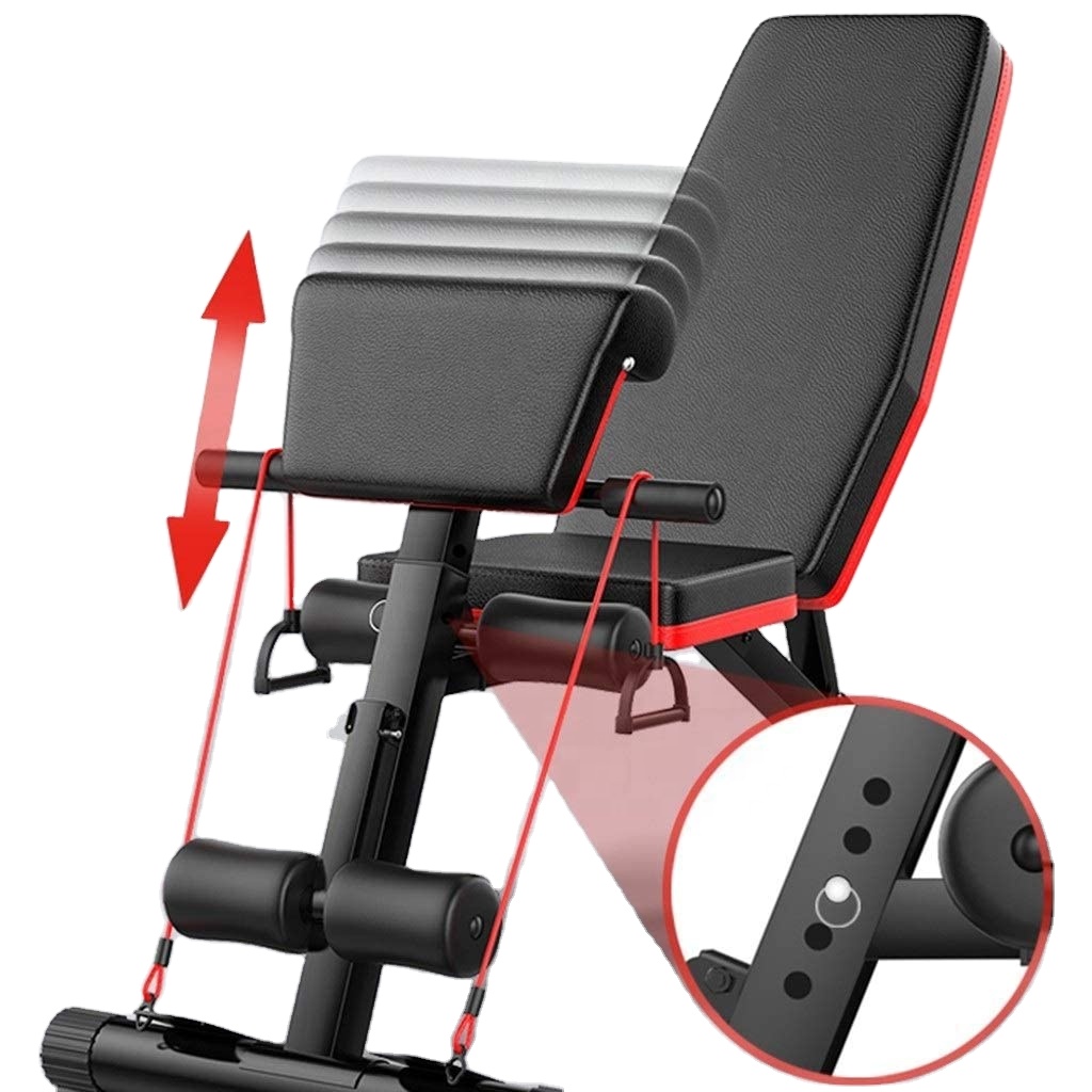 Popular Banco de Ejercicios Pl - Home Gym Dumbbells reseña y precio