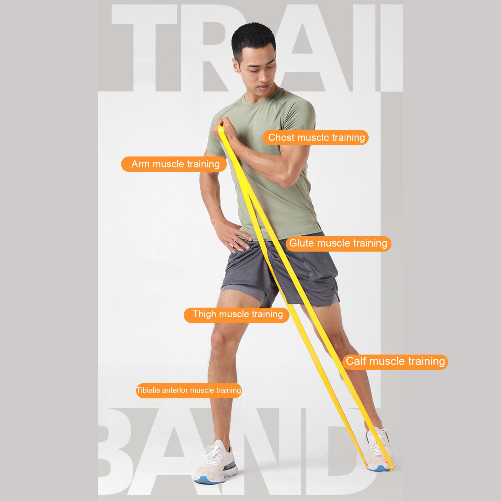 Bandas elásticas de resistenci - Home Gym Resistance Machine reseña y precio