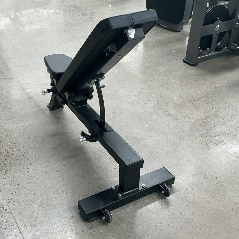 Banco de Pesas Ajustable para  - Home Gym Dumbbells reseña y precio