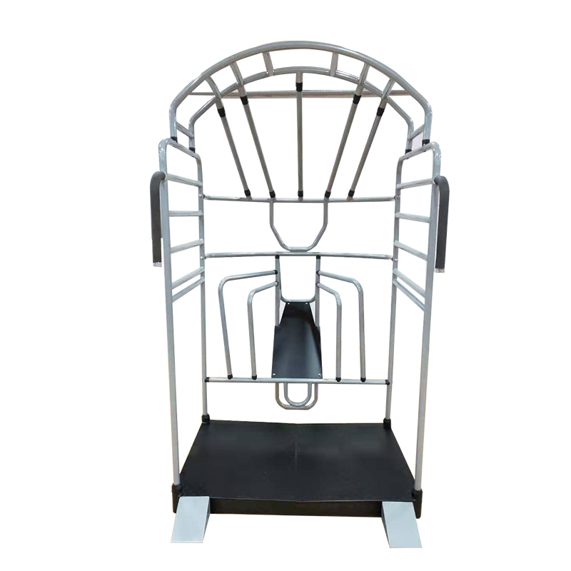 Jaula de estiramiento multifun - Home Gym Hamstring Exercises reseña y precio