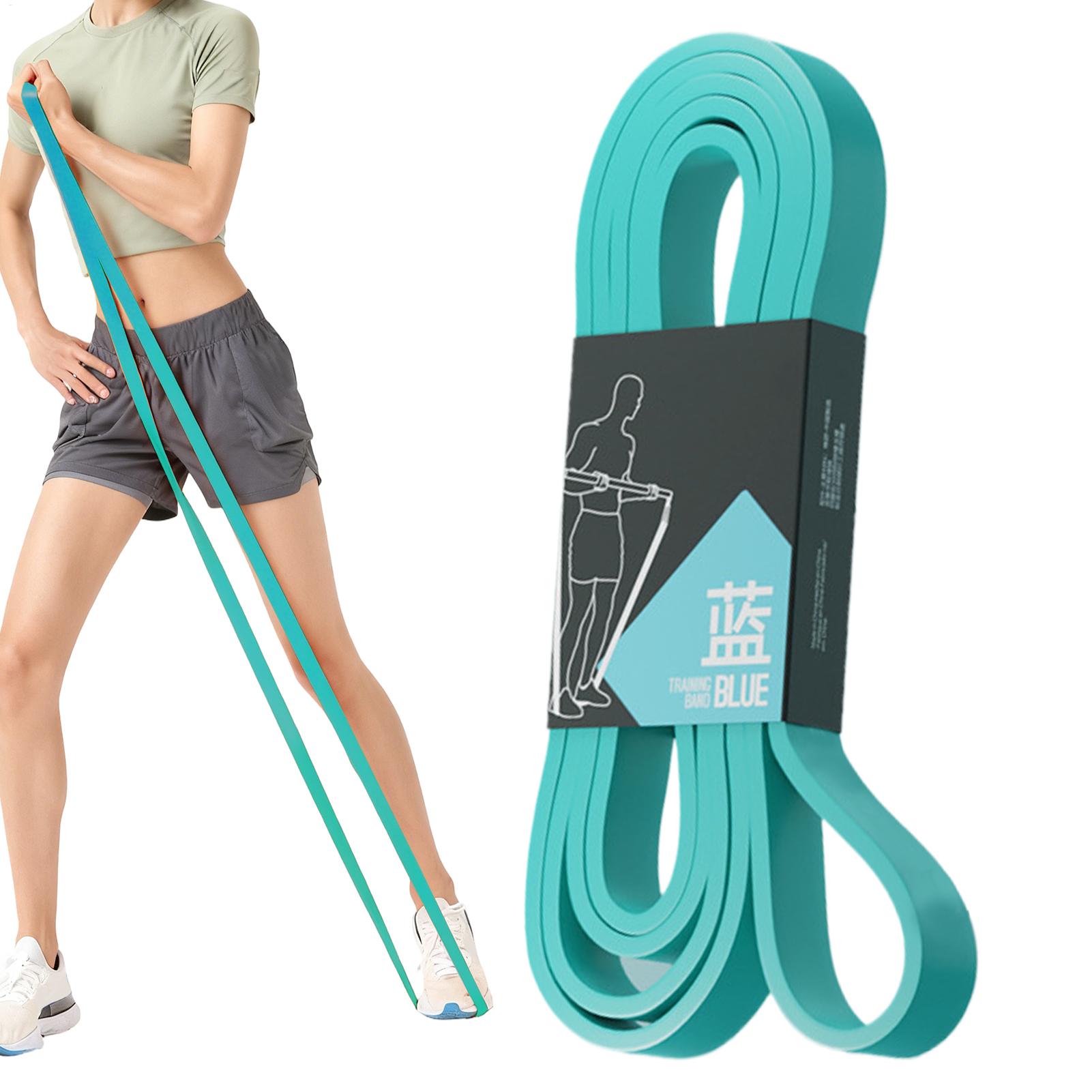 Bandas elásticas de resistenci - Home Gym Resistance Machine reseña y precio